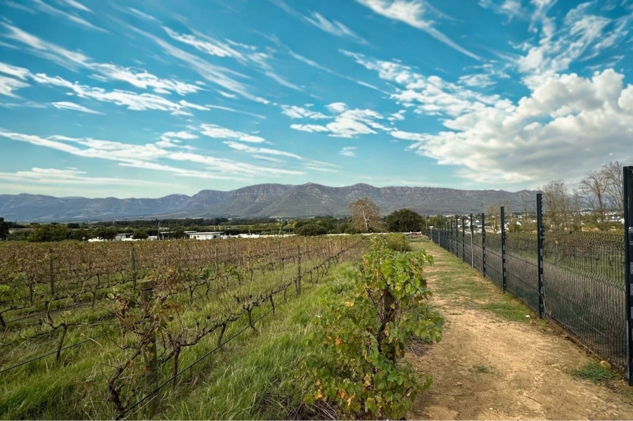 0 Bedroom Property for Sale in Simondium Western Cape